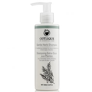 Odylique by Essential Care Tea Tree & Herb Shampoo - Mildes Teebaum...