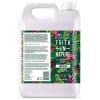 Faith in Nature Dragon Fruit Shampoo - 5L